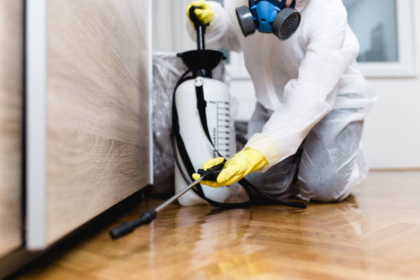 Best Pest Removal Services  in Pu, HI