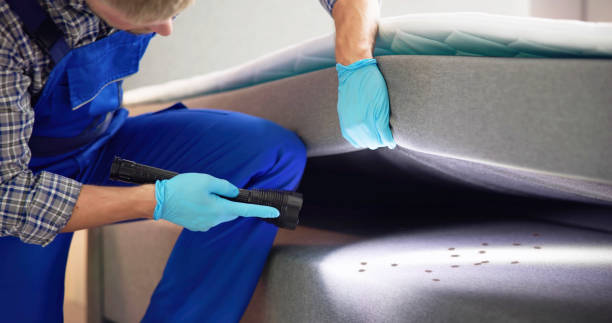 Best Residential Pest Control  in Pu, HI