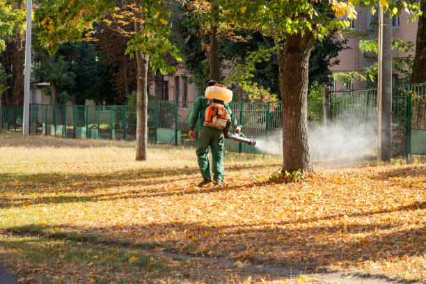 Best Cockroach Control Services  in Pu, HI