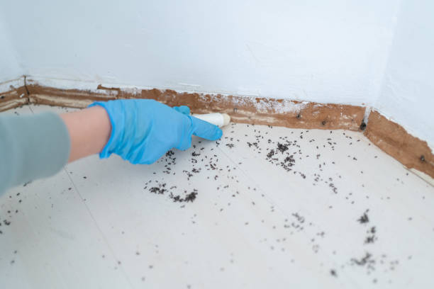 Best Wildlife Control Services  in Pu, HI