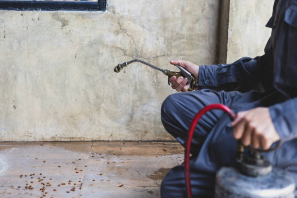 Best Pest Control for Businesses  in Pu, HI